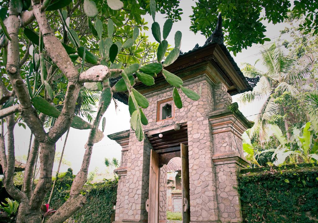 Murni'S Houses & Spa أوبود المظهر الخارجي الصورة